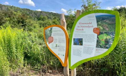 Infotafeln zum Klimawandel im Nationalpark Hainich