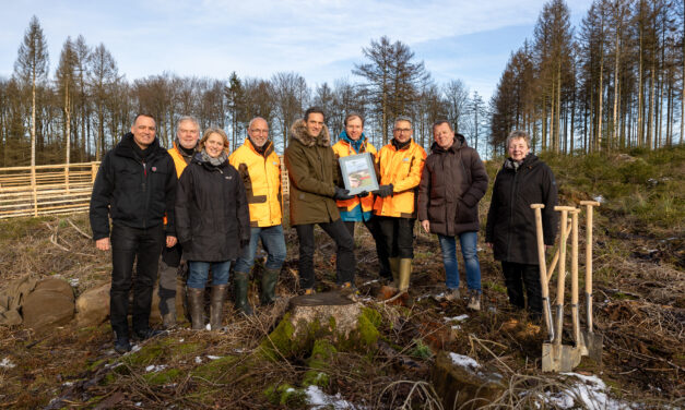 Vaillant Group und Waldgenossenschaft Remscheid entwickeln gemeinsam Zukunftswald