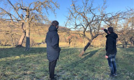 Zukunft des Streuobsts in der Rhön – Baumwartausbildung für 25 Teilnehmerinnen und Teilnehmer gestartet