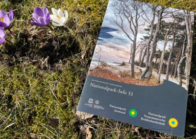 Mit der neuen Nationalpark-Info 31 in den Frühling