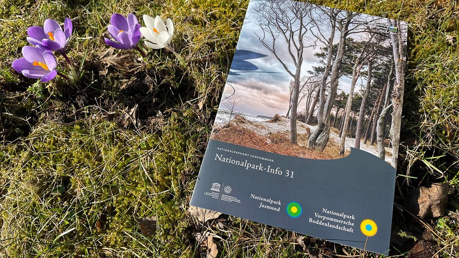 Mit der neuen Nationalpark-Info 31 in den Frühling