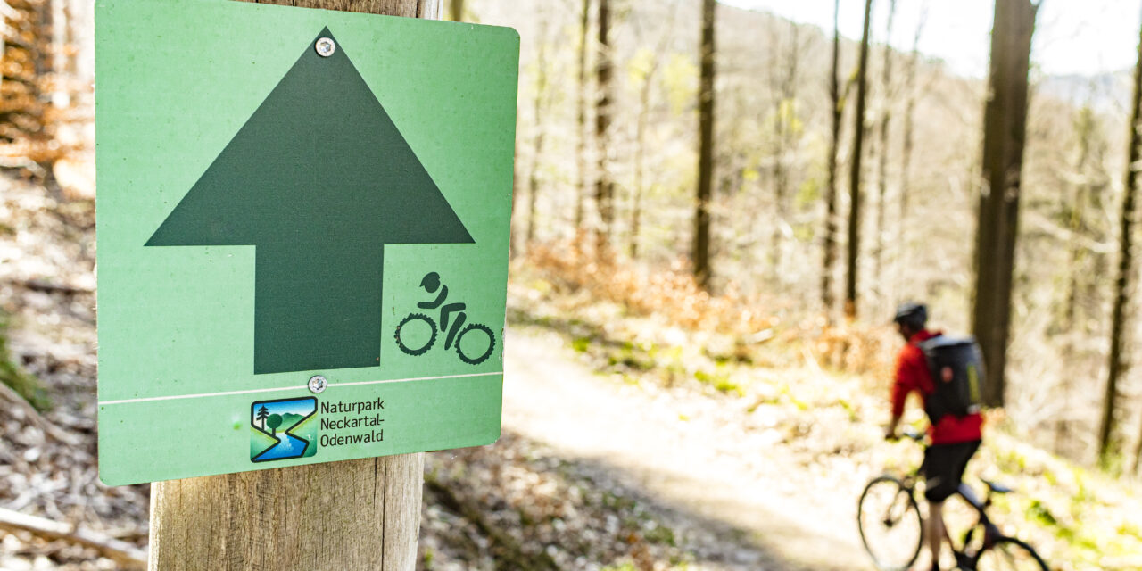 Neue Mountainbike-Tourenrundstrecke in Neckargemünd – Forstrechtliche Genehmigung erteilt