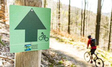 Neue Mountainbike-Tourenrundstrecke in Neckargemünd – Forstrechtliche Genehmigung erteilt