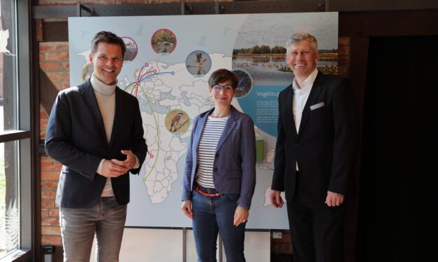 Neue Ausstellung im Naturpark-Infozentrum Steinhude