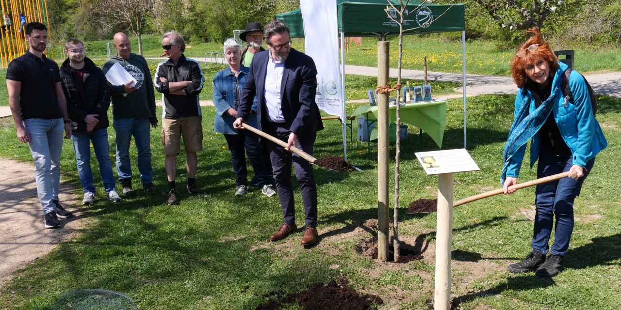 „Odenwälder“ ist Apfelsorte des Jahres 2022 im Geo-Naturpark Bergstraße-Odenwald