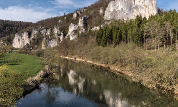 Naturspaziergang im Donautal