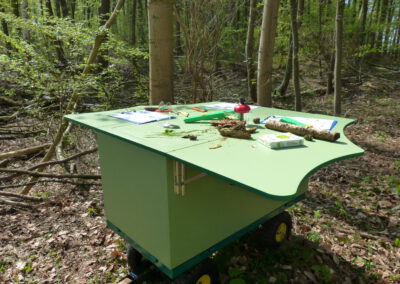 Kinder erforschen und erleben den Wald im Naturpark Elbhöhen-Wendland