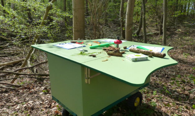 Kinder erforschen und erleben den Wald im Naturpark Elbhöhen-Wendland