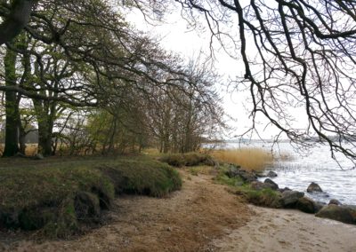 Sandbucht am Schleiufer