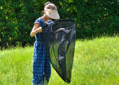 Das spannende Leben der Wiesenknopfameisenbläulinge