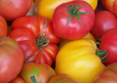 Saatgut für den eigenen Garten – Wie komme ich zur Ernährungssouveränität?