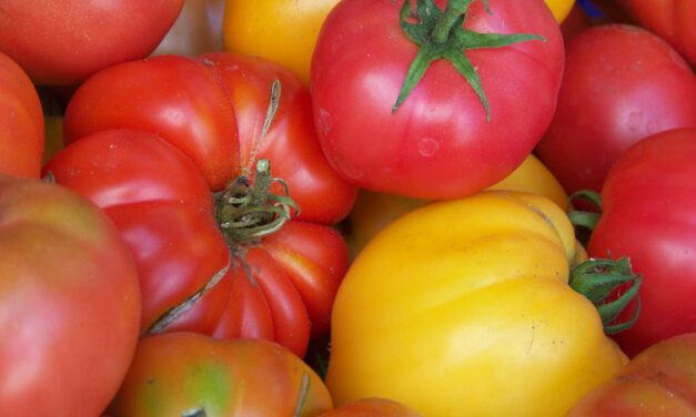 Saatgut für den eigenen Garten – Wie komme ich zur Ernährungssouveränität?