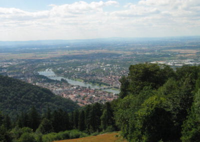 Der Neckar von Heidelberg bis Mannheim