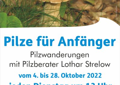 Zweimal wöchentlich Pilzwanderungen im Naturpark Nossentiner/Schwinzer Heide