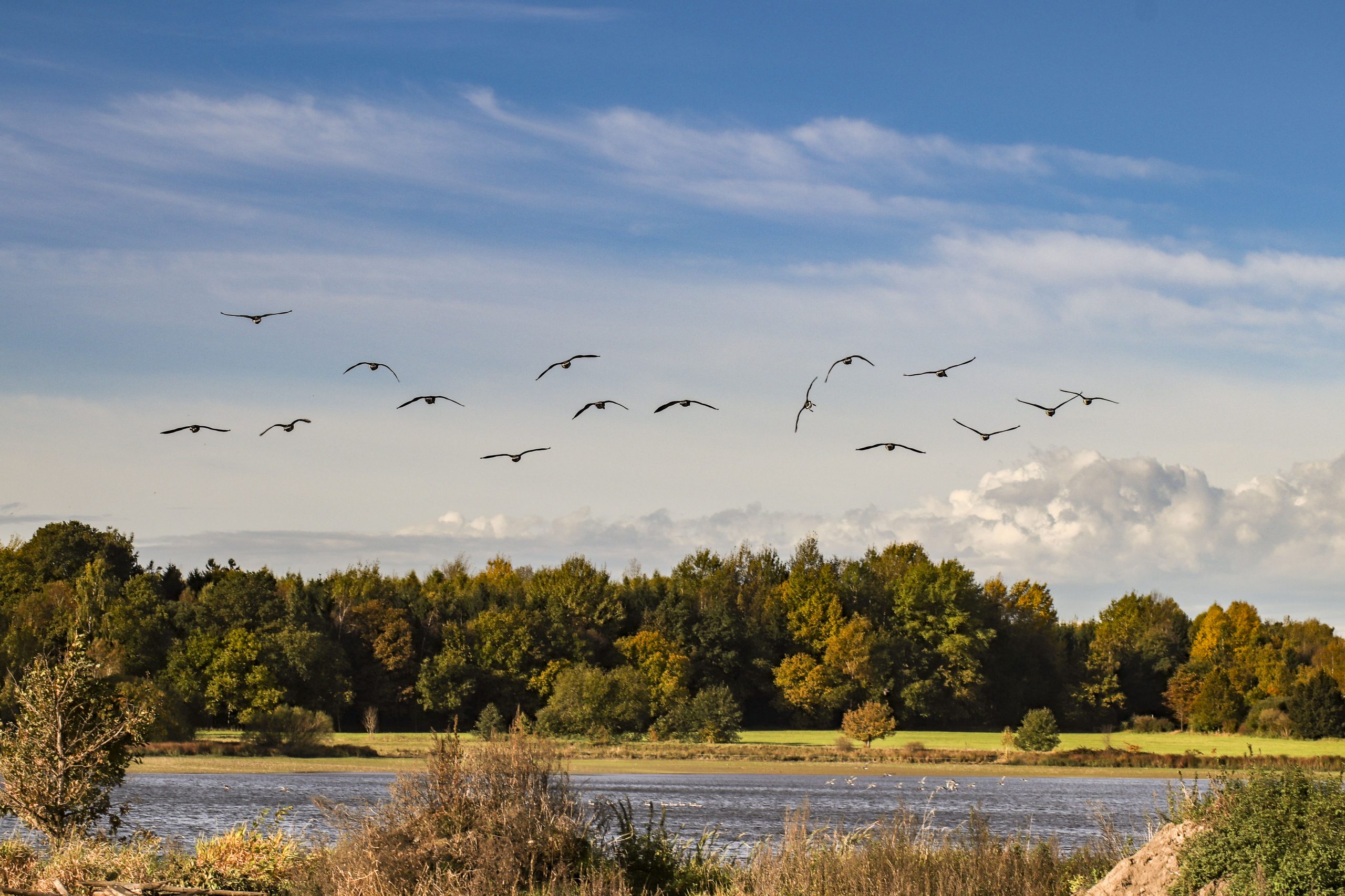 Im Fokus“ Land der Tausend Teiche Fotowettbewerb • Natura Event