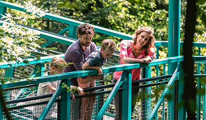 Vorschau-Abbildung Baumkronenpfad De Hondsrug im Portrait bei Natura Event