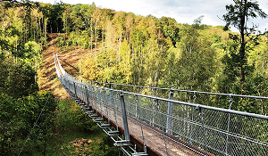 Vorschau-Abbildung Hängeseilbrücke Hohe Schrecke im Portrait bei Natura Event
