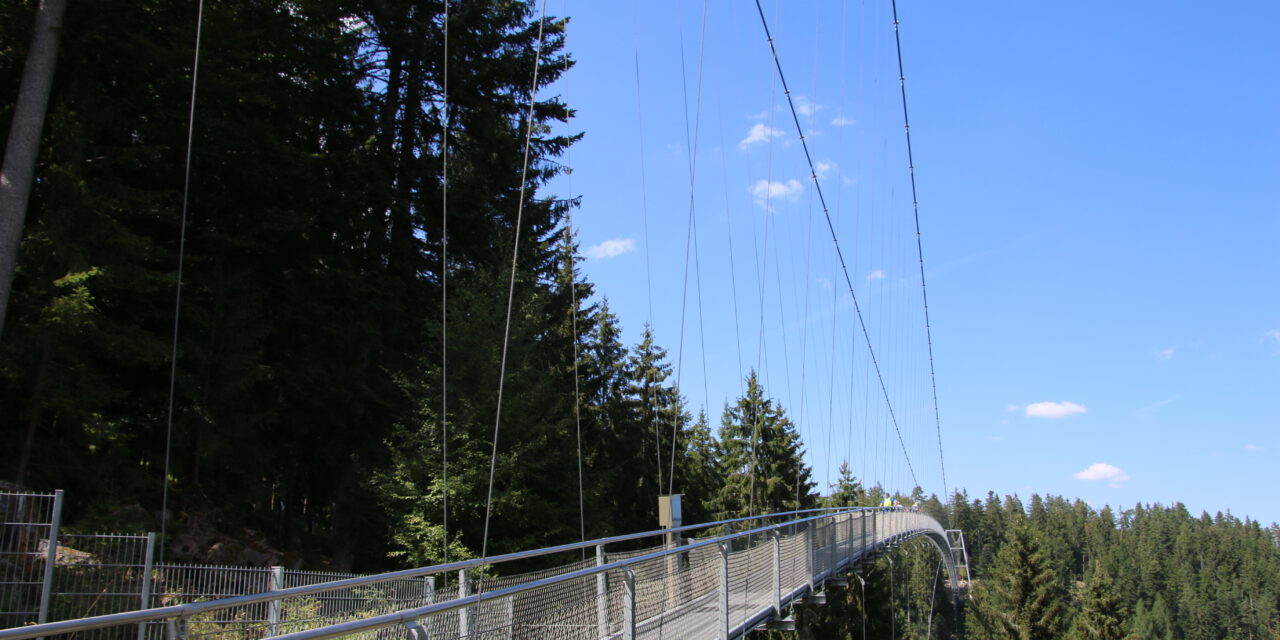 Fotowettbewerb zur Wildline Hängebrücke in Bad Wildbad
