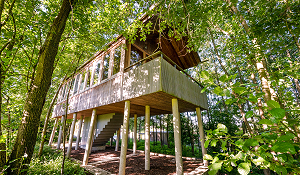 Vorschau-Abbildung Baumhaushotel am Wald im Portrait bei Natura Event