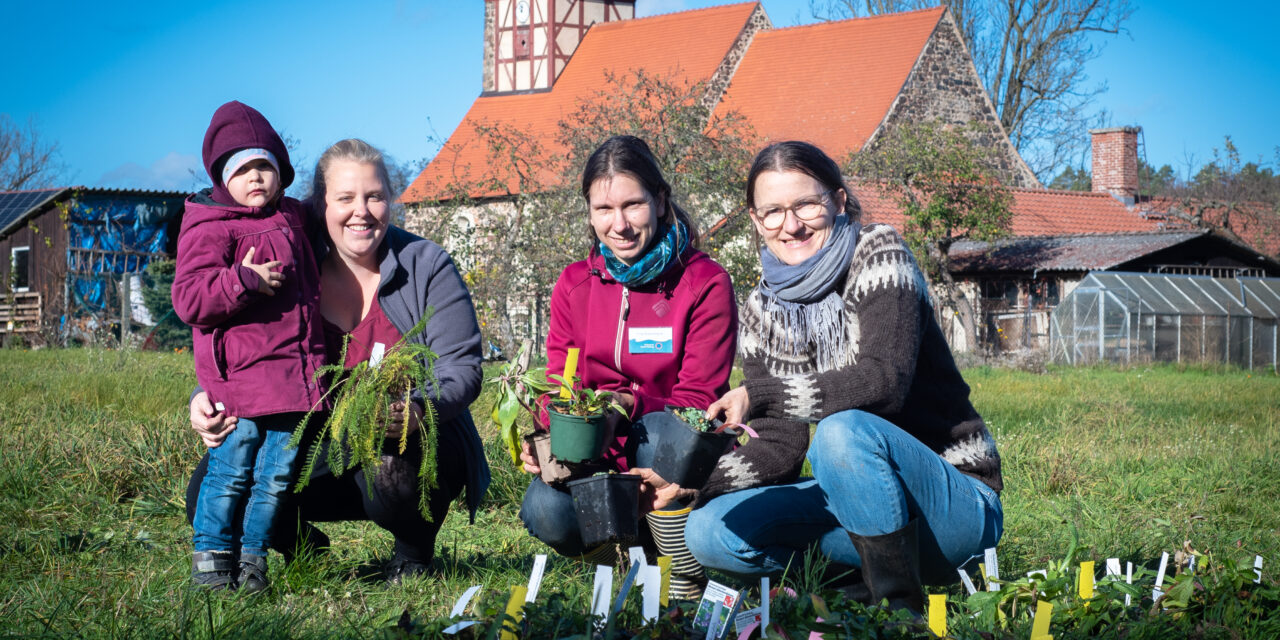 Naturpark Hoher Fläming unterstützt den Blütenreichtum in 82 Gärten