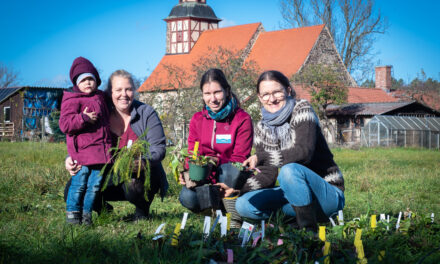 Naturpark Hoher Fläming unterstützt den Blütenreichtum in 82 Gärten