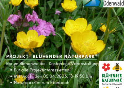 Forum Bienenweide im Naturparkzentrum Eberbach