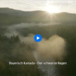bayrisch kanada - der schwarze regen