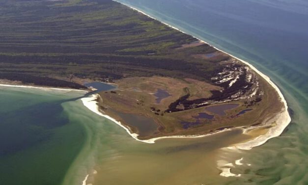 NDR Landpartie: Fischland-Darß-Zingst