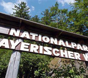 Nationalpark Bayerischer Wald - Forschung im Urwald