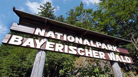 Nationalpark Bayerischer Wald – Forschung im Urwald