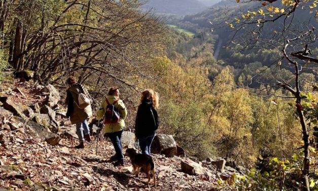 Rundwanderwege im Hunsrück – unterwegs auf 5 der schönsten Traumschleifen