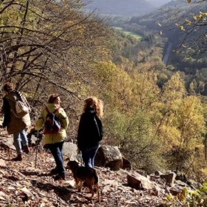 Rundwanderwege im Hunsrück - unterwegs auf 5 der schönsten Traumschleifen