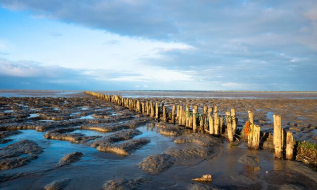 Weltnaturerbe Wattenmeer – Wild und wunderschön