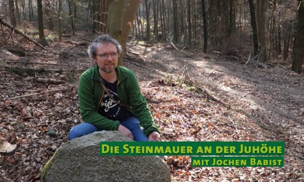 Der Steineversteher | Die Steinmauer an der Juhöhe