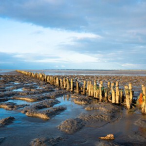 Weltnaturerbe Wattenmeer - Wild und wunderschön