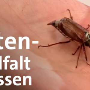 Karte der Artenvielfalt: Artenschutz aus dem All für den Steigerwald