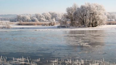 Winter im Unteren Odertal