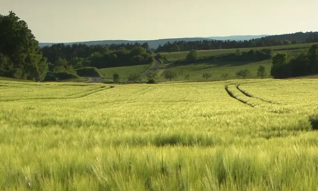 Rhön, Land mit weitem Blick