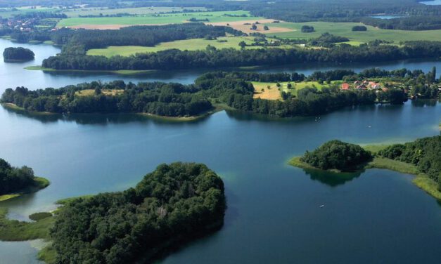 Natur erleben in der Feldberger Seenlandschaft