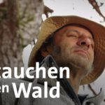 Wald als Therapeut: Waldbaden mit dem Schmidt Max