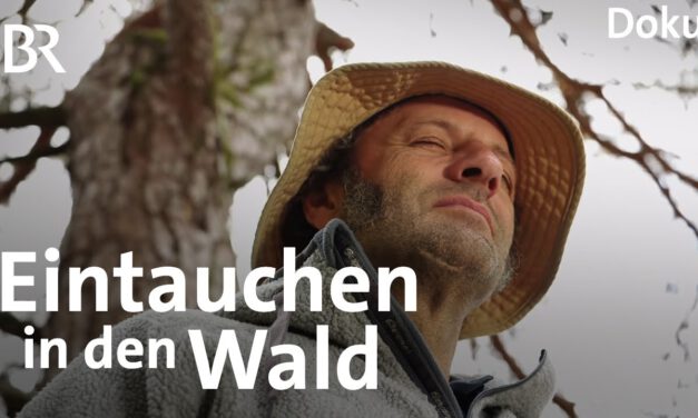 Wald als Therapeut: Waldbaden mit dem Schmidt Max