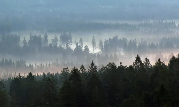 Rund um den Großen Waldstein