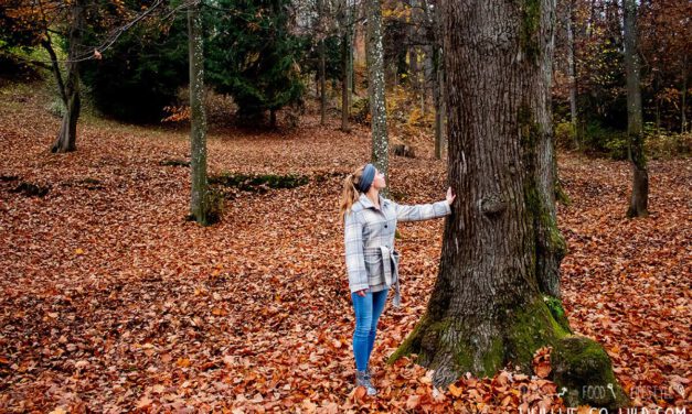 Miteinander – Anpacken Waldbaden