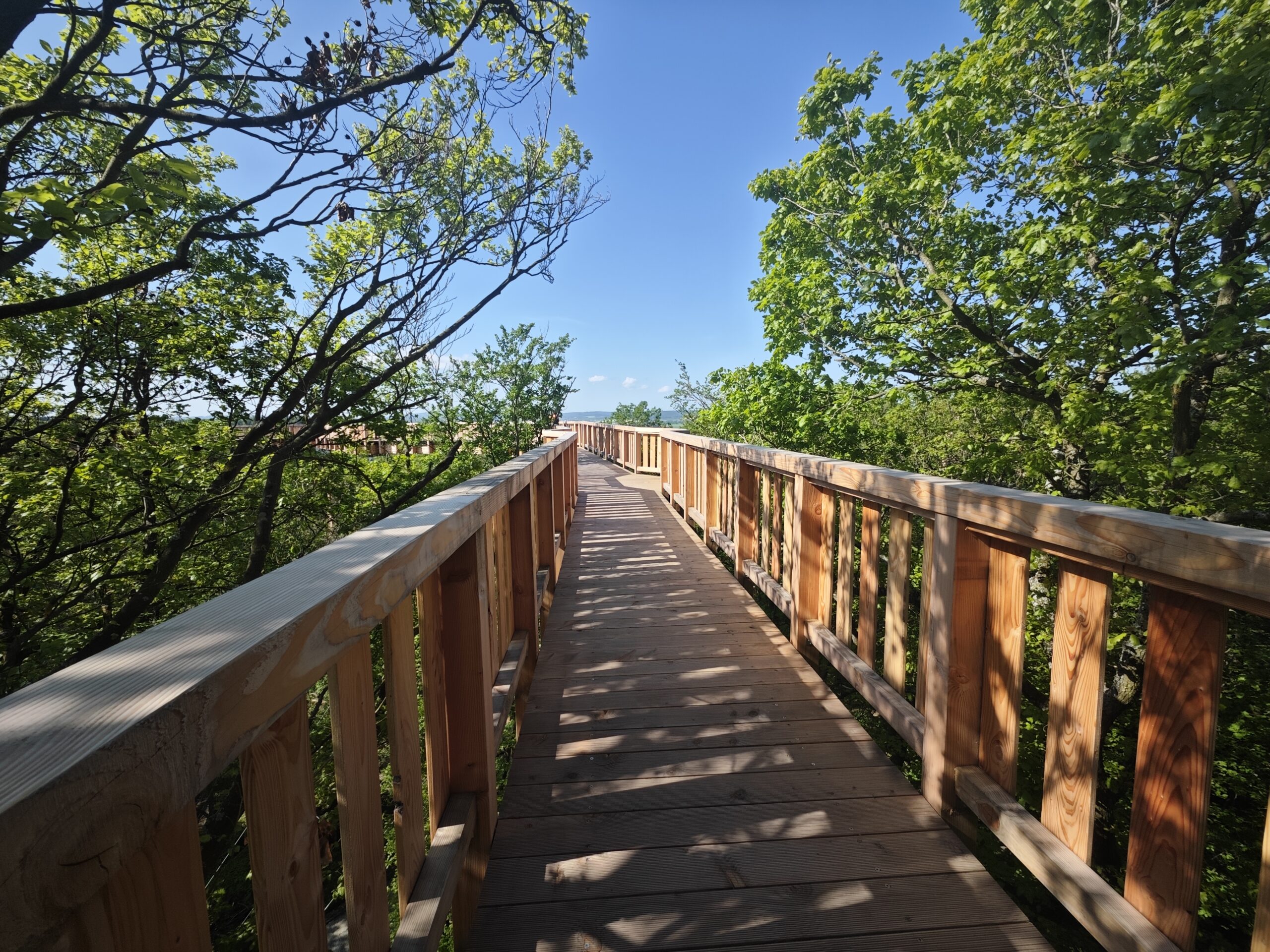 Baumwipfelpfad Bad Camberg • Natura Event