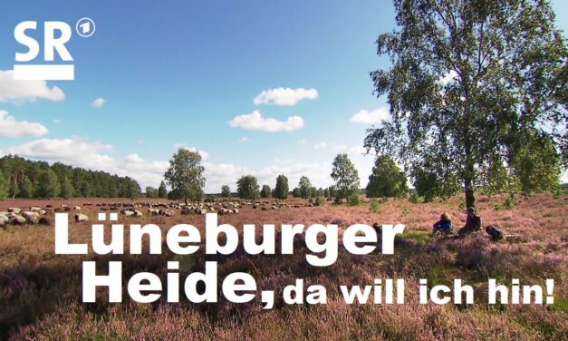 Kurzurlaub in der Lüneburger Heide