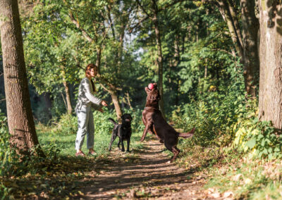 Waldbaden mit Hund