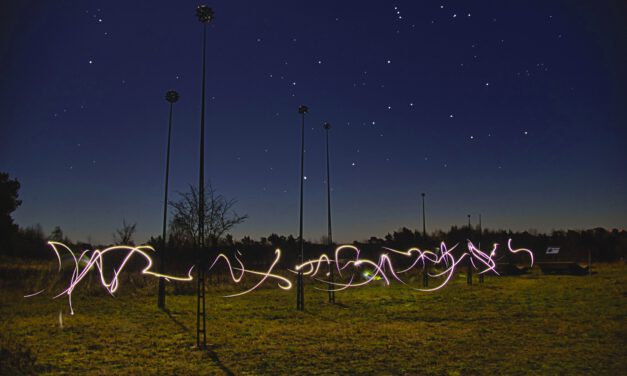 Sternschnuppen-Nacht im Nationalpark
