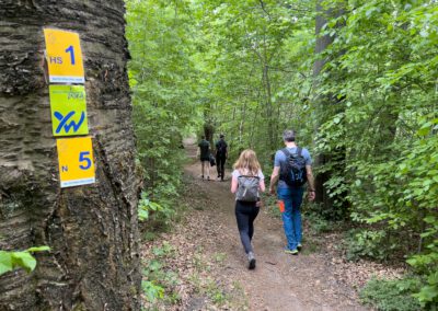 In Wanderschuhen durch den Solling