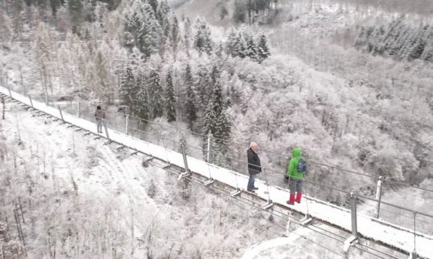 Märchenhafte Natur rund um die Hängebrücke Geierlay und im Mörsbachtal