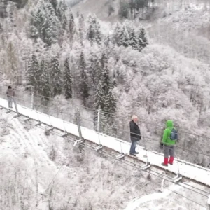 Märchenhafte Natur rund um die Hängebrücke Geierlay und im Mörsbachtal